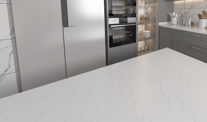 鱼肚白901VR展示